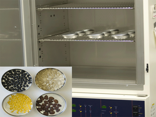 Seed Moisture Determination